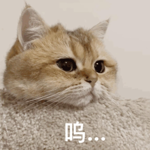 兽皇videos极品另类仙踪林
